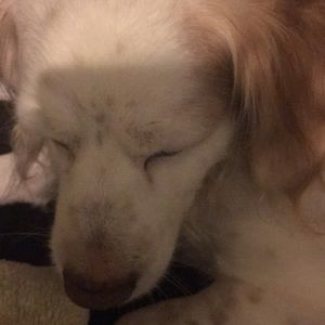 Meet your Posher, Ruth